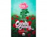CANDY CANDY: LA HISTORIA DEFINITIVA (Novela)
