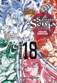 SAINT SEIYA (Edición Integral) 18 (de 22)