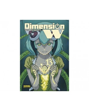 DIMENSION W 13