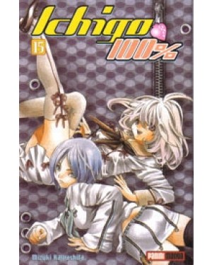 ICHIGO 15  (de 19)