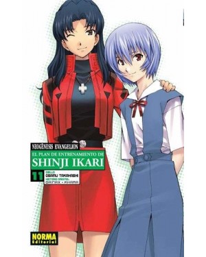 NEOG&Eacute;NESIS EVANGELION. El plan de entrenamiento de Shinji Ikari 11   (de 18)