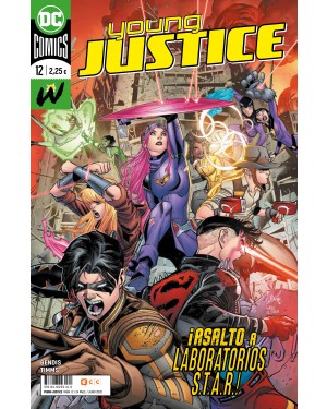 YOUNG JUSTICE 12