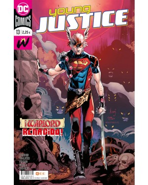 YOUNG JUSTICE 13