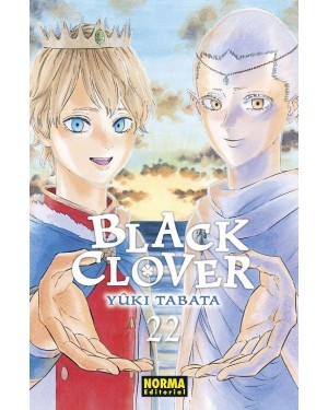 BLACK CLOVER 22
