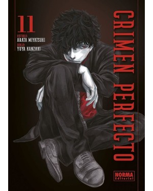 CRIMEN PERFECTO 11