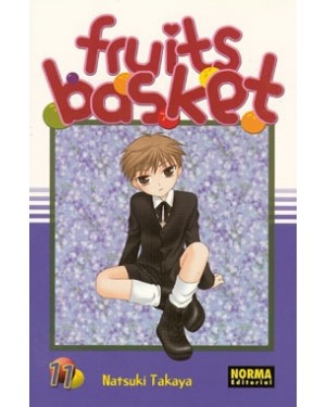 FRUITS BASKET 11  (de 23)