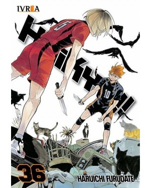 HAIKYÛ!! 36