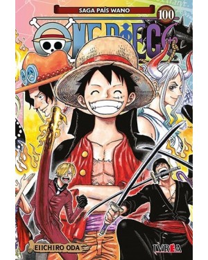 ONE PIECE 100