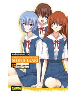 NEOG&Eacute;NESIS EVANGELION. El plan de entrenamiento de Shinji Ikari 12   (de 18)