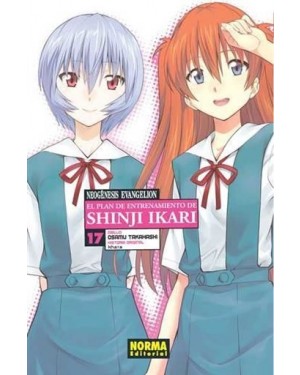 NEOG&Eacute;NESIS EVANGELION. El plan de entrenamiento de Shinji Ikari 17   (de 18)