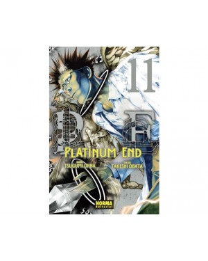 PLATINUM END 11