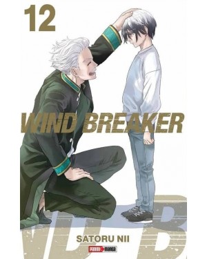 WIND BREAKER 12